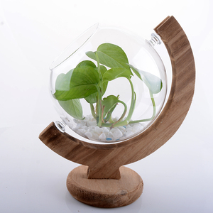 <span class=keywords><strong>Vase</strong></span> Globe en verre transparent moderne <span class=keywords><strong>avec</strong></span> support en <span class=keywords><strong>bois</strong></span> rustique Terrarium pour la décoration de la maison et de la salle à manger pour les hôtels - Product Image 1