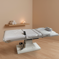 Cama de Masaje Eléctrica de 2 Motores, Plegable y Totalmente Ajustable, para Spa Médico, Gimnasio, Escuela