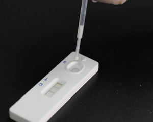 수의학 진단 신속 테스트 키트 항체/항원 테스트 스트립 기기 매우 효과적인 강아지, 고양이, 말, 가축 - Product Image 3