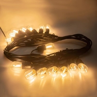 Sans fil Économie d'énergie DC Powered Solar Festival Decoration Smart Lights Warm White 4 Work Modes 45FT LED Bulbs Home Wedding Decor
