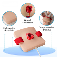 Modelo Anatómico de PVC para Simulación de Heridas Traumáticas, Módulo de Práctica para Entrenamiento en Escuelas de Medicina - Maniquíes de Primeros Auxilios para Hemostasia