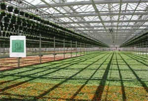 Nhà máy/hội thảo/kho/phòng thí nghiệm trực tuyến hệ thống giám sát Wifi kỹ thuật số không dây nhiệt độ độ ẩm cảm biến dữ liệu logger - Product Image 6