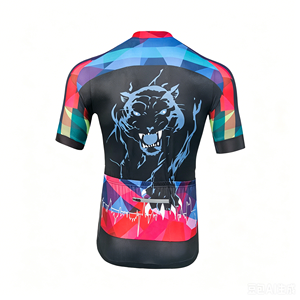 Conjunto de Ciclismo de Dos Piezas con Estampado Geométrico de Moda para Desplazamientos Urbanos, Unisex, Personalizable, Jersey con Cremallera Completa, Pantalones Cortos con Almohadillas Antichoque, para Múltiples Escenarios - Product Image 3