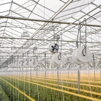 Crochet à rouleaux pour tomates avec cadre en fil métallique et ficelle de 30 mètres