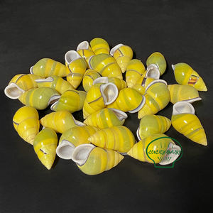 天然巻き貝の殻黄色のカタツムリの殻タンク風景コレクション標本右カタツムリヤドカリの家の交換用殻 - Product Image 3