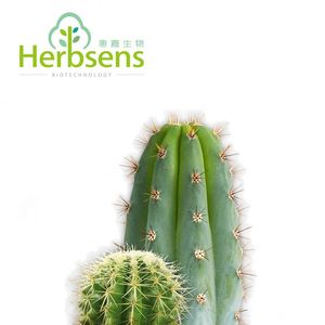 さまざまな製品で使用するための多用途のサンペドロサボテン Alibaba Com