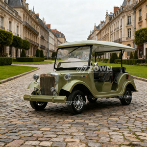 Voiture électrique classique de luxe au design européen, certifiée CE, idéale pour le tourisme, avec option de transport spécial à vendre - Product Image 4