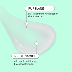 Yağ Kontrolü Sağlayan Akne Giderici Jel Yüz Temizleyici Niacinamide Purslane Kokulu Büyük Boy Aydınlatıcı Nemlendirici Hafif - Product Image 4
