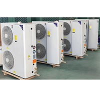 Unit Pendingin Industri Emerson Copeland Unidad Condensadora Groupe Frigorifique 5hp 10hp Unit Kondensasi Suhu Rendah