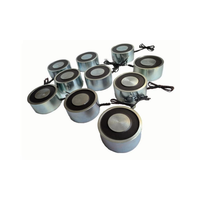 Electroimán Circular Pequeño y Potente de CC 24V, Tipo Ventosa para Levantar Hierro, 12V Industrial P40/20P50/27 Personalizado