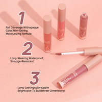 Longue durée haute Pigment Sexy lèvre mat Nude rouge à lèvres Kits mat cosmétique étanche rouge à lèvres