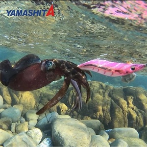 3 pièces/ensemble Japon <span class=keywords><strong>YAMASHITA</strong></span> 3.5 Neonbright Wooden Shrimp EPI-OH LIVE Brisk Ultraviolet Reflective EGI JIG Squid Hook Bait LURE - Product Image 5