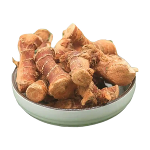 Hochwertige Organische Galangal-Wurzelpulver Galangal-Rhizom Alpinia Galanga Extrakt 10:1 30:1 50:1 - Product Image 3