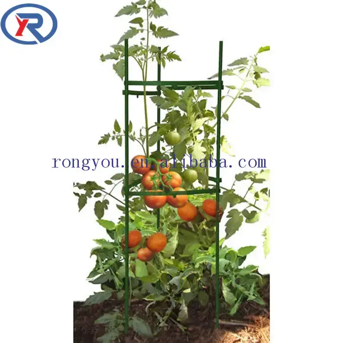 Estaca de suporte para plantas de escalada de jardim, estaca de metal revestida de PE, estaca de suporte para escalada de tomate
