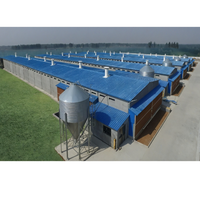 Bâtiment de ferme en acier préfabriqué à faible coût conçu par la Chine pour l'étable à moutons de bovins de vache
