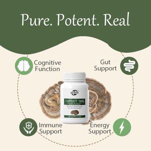 Cápsulas de Cola de Pavo, Extracto de Hongo Orgánico para el Bienestar, Salud Intestinal, Energía y Ritmo, Vegano, Sin OMG, Extracto de Cola de Pavo - Product Image 3