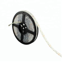 IP68 Étanche Sous-Marine Flexible Bande Lumière Blanc Chaud Blanc Froid DC12V 24V 5M 300Leds SMD5050 LED Bandes D'éclairage