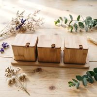 Pot à épices en bambou pour cuisine et restaurant, récipient de rangement pour sel et assaisonnements avec plateau et cuillère, organisateur de condiments