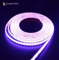 Bande lumineuse LED COB adressable, contrôle par application WiFi, DC12V 24V, éclairage flexible intelligent pour la décoration paysagère