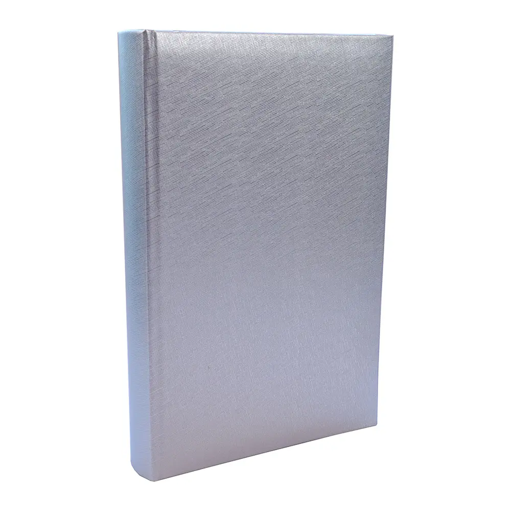 300 photos in Memo PU Leather Sliver 4X6" Photo Album Book bound hard cover