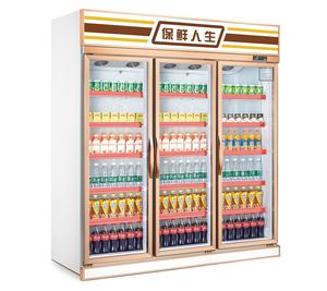 Refrigerador Comercial Lintee <span class=keywords><strong>Pepsi</strong></span> Drink con Puertas de Vidrio Doble Antivaho, Congelador, Equipo de Refrigeración - Product Image 6