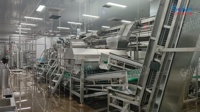 Mango-sap productielijn - Fabrieksaanpassing van machines voor mango puree, jam, gedroogd fruit en drankenverwerking