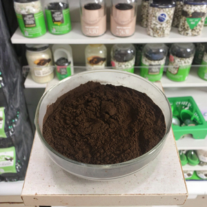 Suplemento Dietético Orgánico, Extracto de Hongo Chaga <span class=keywords><strong>Inonotus</strong></span> Obliquus Silvestre de China, en Polvo, 40% Grado A, Empaquetado en Tambor - Product Image 3