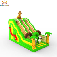 Le toboggan gonflable en PVC double voie le plus populaire, 0,55 mm, capacité 200 kg, installation facile, design personnalisable, garantie 3 ans
