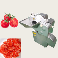 Productie van fruitpasta en -puree, 100 kg per uur, kleine tomatenpureemachine, kleine tomatenketchup productielijn