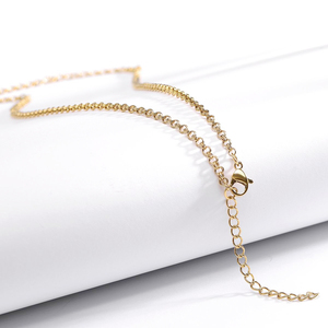 316L Stainless Steel Lip <b>Chain</b> Gold/<b>Silver</b> Necklace <b>Chain</b> Lobster Clasp Jewelry <b>Chains</b> - Product Image 6