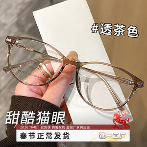 Monturas de Gafas Danyang Cat Eye 7217 TR90, Montura Completa, Cómodas, Gafas de Moda para Mujer - Product Image 4