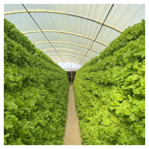 Sistema de cultivo de invernadero en forma de A vertical Sistema hidropónico de Nft de Marco A Plantación de <span class=keywords><strong>cultivos</strong></span> de frutas de hojas con plantas bajas y cortas - Product Image 6
