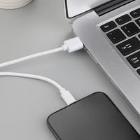 Câble de charge USB-C vers USB en gros pour téléphone, câble USB-A vers USB-C