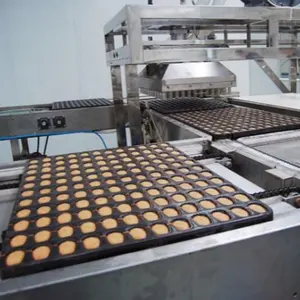 Otomatik kare kek yatırma yer fıstığı güney kore cevizli kek. Makine üretim otomatik kek yapma makinesi
