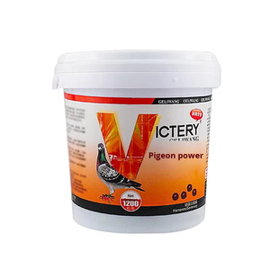 Hot Sale Parrot Birds <strong>Pigeon</strong> Health Performance <strong>Supplement</strong> Young <strong>Pigeon</strong> 1200 Pills for Growth &amp; Moulting Booster - Product Image 1