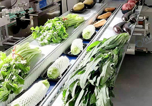 Horizontal Commodity Packing <b>Machine</b>/ Food <b>Packaging</b> Horizontal Pillow <b>Packaging</b> <b>Machine</b> - Product Image 5