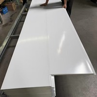 Panneaux sandwich en acier galvanisé de 16 mm avec âme en polyuréthane - Résistants à l'eau et au feu, écologiques, pour ateliers et chambres froides