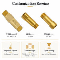 Válvula de Recirculación Termostática (TRV) de Latón Autoaccionada Macho-Hembra para Control de Temperatura, ODM OEM