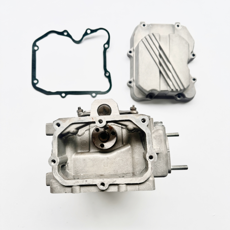 Cylinder Head Assy for Kazuma Stels Xinyang XY500ATV
