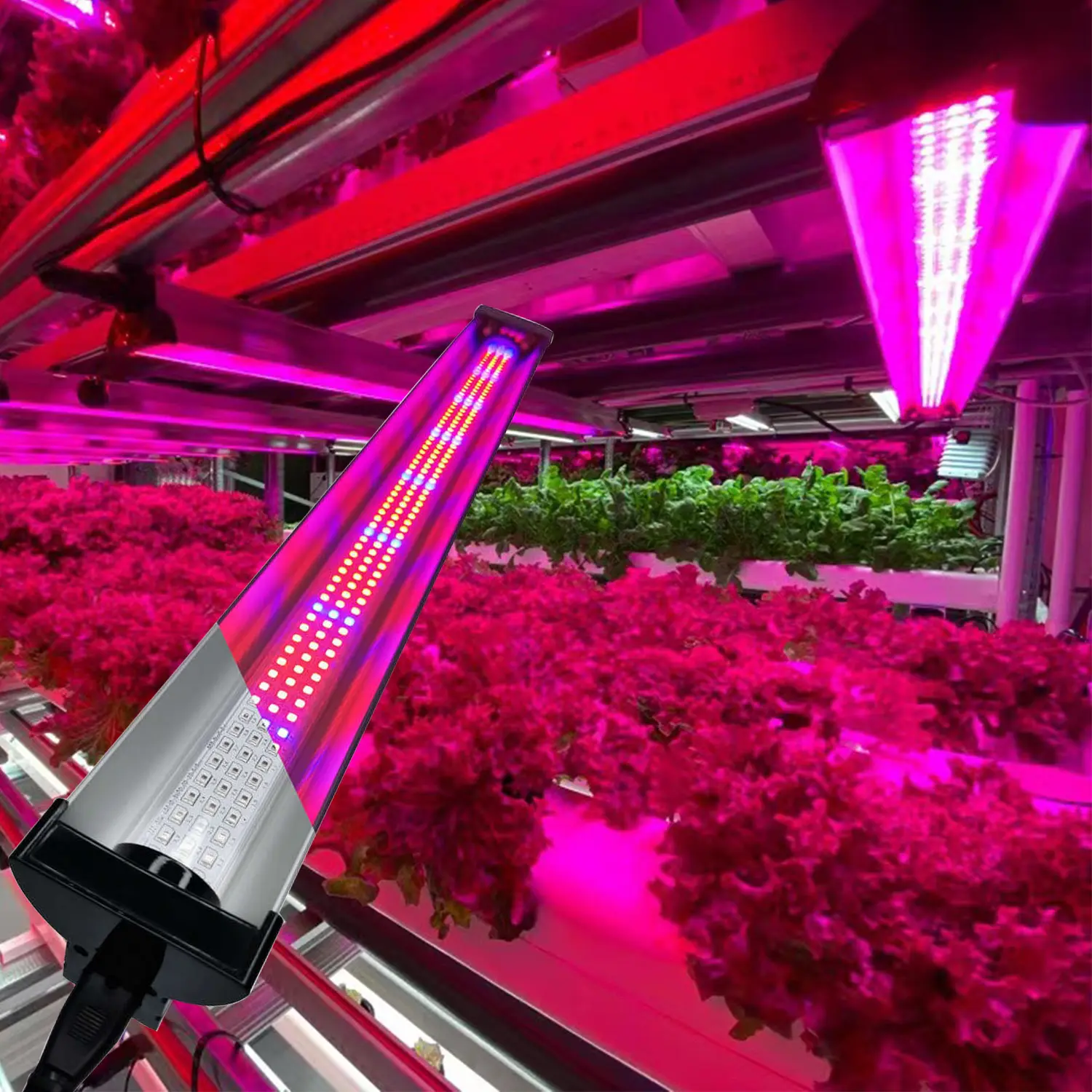 Far Red Blue 4FT 80W sistemi di coltivazione idroponica LED Strip 730nm Far Red Pink LED Grow Lights