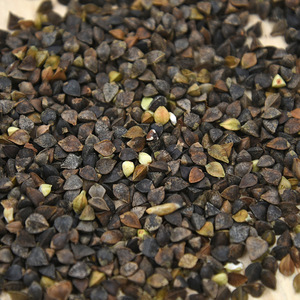 Alimento para pájaros de trigo sarraceno en cáscara 500g, snack natural para loros, palomas y pájaros pequeños - Product Image 3