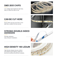Bande LED RGB 24V personnalisable, flexible, SMD 2835, 180 LED/m, 14W, découpable, 2700K 6000K, rouleau de 10M pour décoration DIY