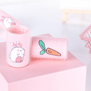 Rizadores <span class=keywords><strong>de</strong></span> rodillo <span class=keywords><strong>de</strong></span> <span class=keywords><strong>pelo</strong></span> <span class=keywords><strong>de</strong></span> etiqueta privada Juego <span class=keywords><strong>de</strong></span> rodillos <span class=keywords><strong>de</strong></span> <span class=keywords><strong>pelo</strong></span> calentados con caja <span class=keywords><strong>de</strong></span> embalaje La <span class=keywords><strong>mejor</strong></span> relación <span class=keywords><strong>calidad</strong></span>-<span class=keywords><strong>precio</strong></span> - Product Image 1