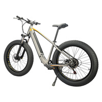 Vélo de montagne électrique avec moteur arrière en alliage d'aluminium de 26 pouces, batterie au lithium 48V 500W, pneus larges à absorption des chocs tout-terrain