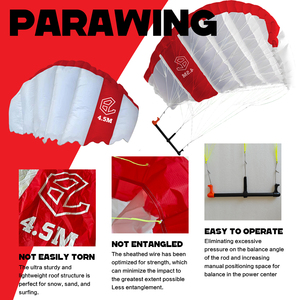 In Stock 4.5m Parawing Kitesurfing <b>Surfing</b> Skateboard Teaching Wind Foil Paraglider Downwind Surfboard Efoil Wingfoil KW04 Ocea - Product Image 4