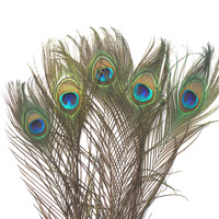 Vases décoratifs en plumes de paon naturelles en gros, ornements de bouteilles, bijoux en vraies plumes avec grand œil et motif de plumes vertes teintes
