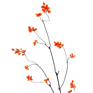 Ramas de Hojas Artificiales de Otoño Flower Delight, 122 cm, Flores de Seda y Plástico, Decoraciones para Bodas y Hogar - Product Image 5