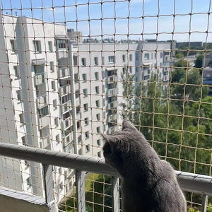 白ベージュのナイロン製安全ネット、建物の落下防止用、接着フック付き、植物や猫を保護 - Product Image 6