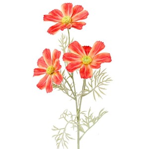 Fleurs artificielles Cosmos en soie, haute simulation, accessoires de mariage, décorations pour la maison, vente en gros - Product Image 3