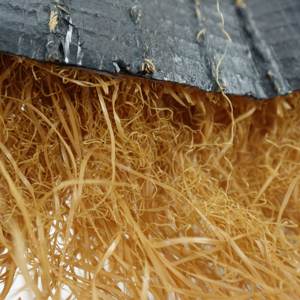 Césped <span class=keywords><strong>Artificial</strong></span> de Palma Tropical Africana, Ecológico, de PP+PE, para Techos y Jardinería, Resistente al Agua - Product Image 5